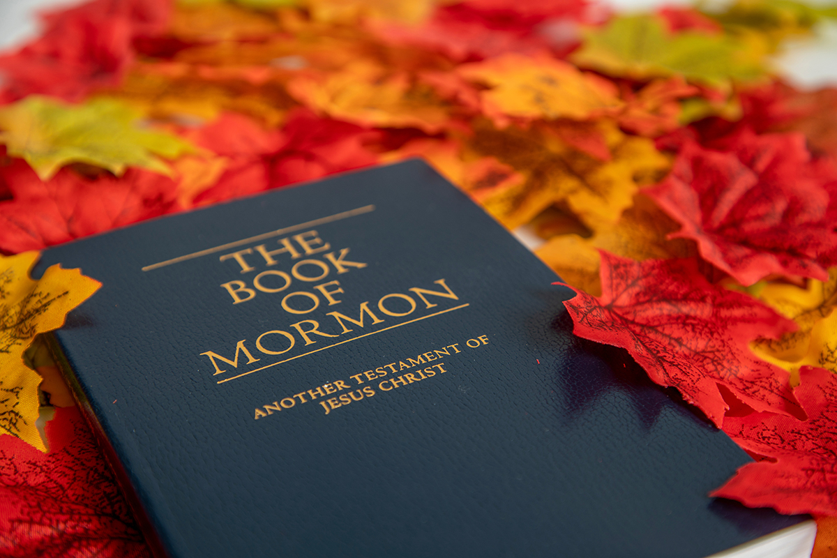 Mormons (Latter-day Saints) 7%
