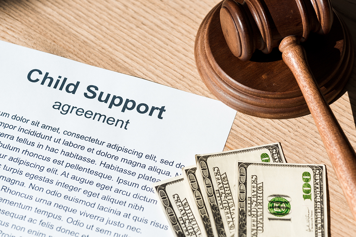 Financial Considerations and Child Support